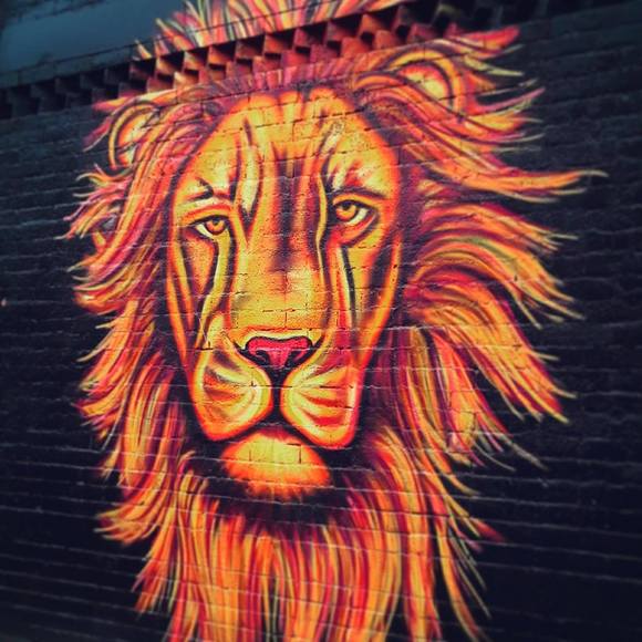 Meet your Posher, Francis - Picture 1 of 1